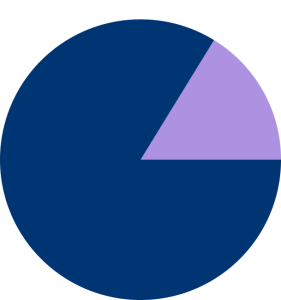 80 percent pie chart