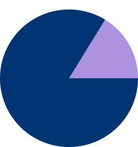 80 percent pie chart