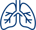 LUNGS image